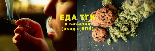 индика Алзамай