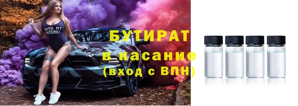 индика Алзамай