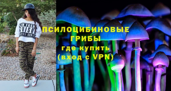 СК Козельск