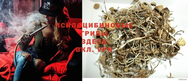 индика Алзамай