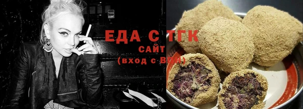 индика Алзамай