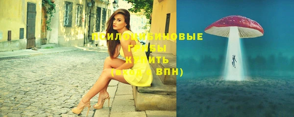 индика Алзамай