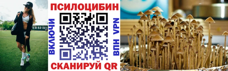 Псилоцибиновые грибы Magic Shrooms  закладка  Арсеньев 